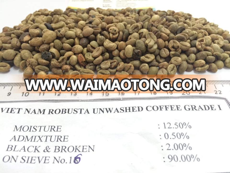 robusta green coffee for importers